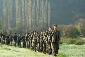 Lessons from the Liberation Struggles of Kurdistan Workers Party (PKK) Partiya Karkerên Kurdistanê